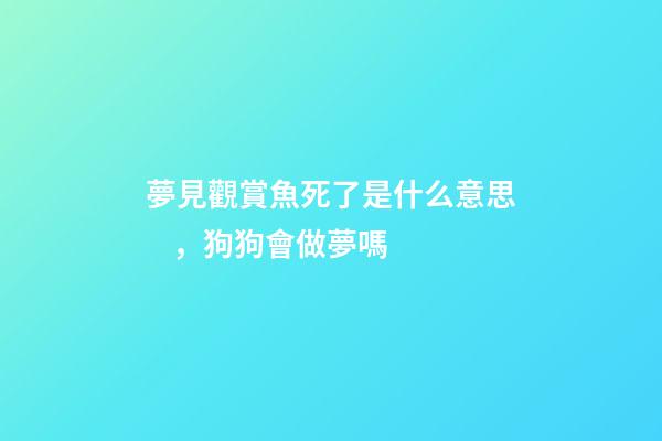 夢見觀賞魚死了是什么意思，狗狗會做夢嗎-第1張-觀點-玄機派